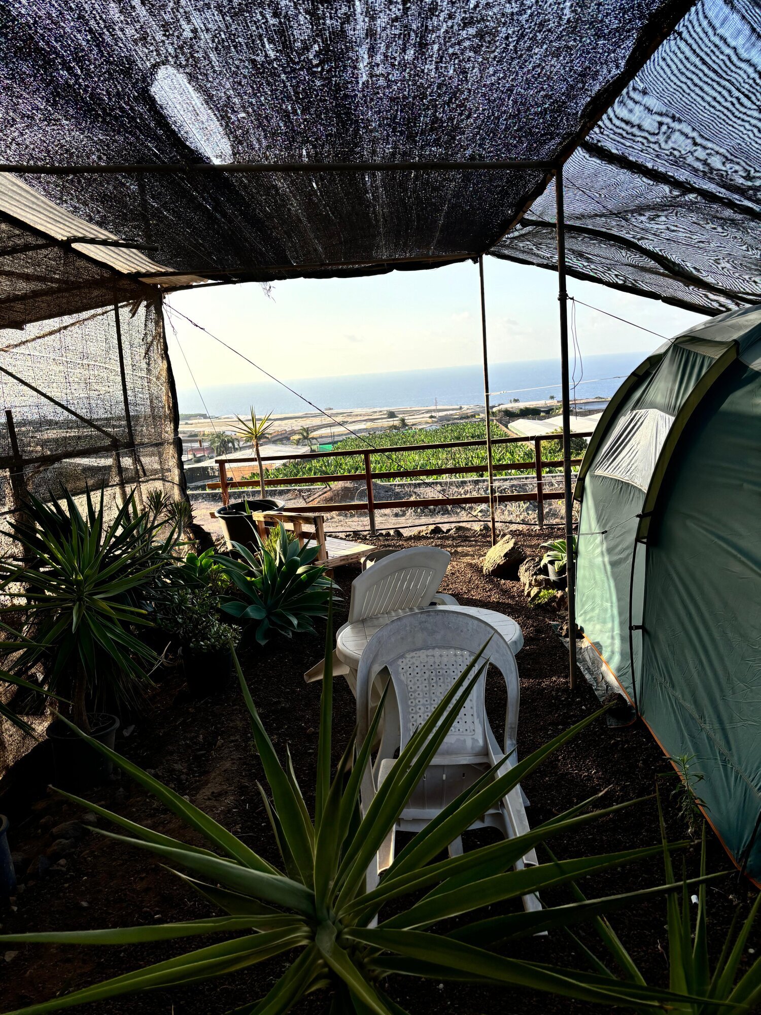 Images Agro Camping Invernaderito