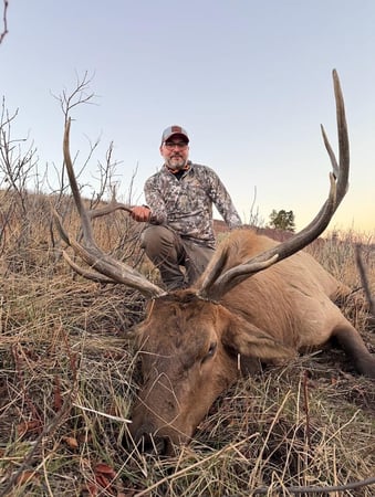 Images The Cabins at Bear River Lodge