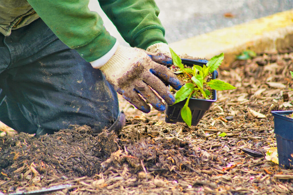 SBC Outdoor Services is the premier residential landscaping company in Maryland, with expertise in creating beautiful outdoor space designs and any hardscaping features