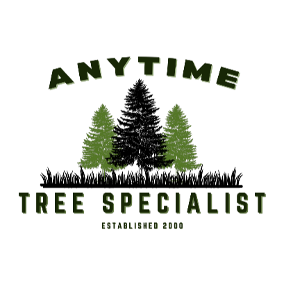 Anytime Tree Specialist
