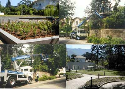 Images Garden Service