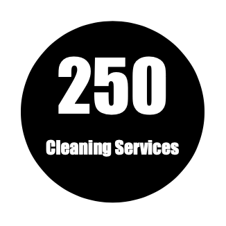 250 Cleaning Services