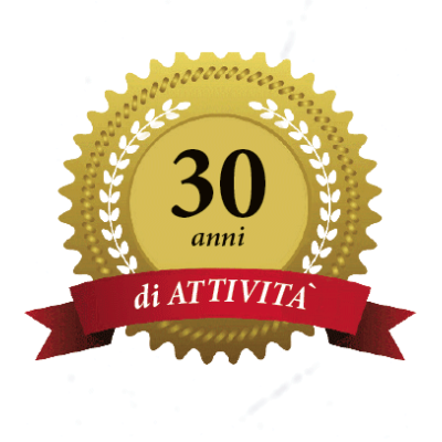 Punto Sistem Gianfranco di Domenico Logo