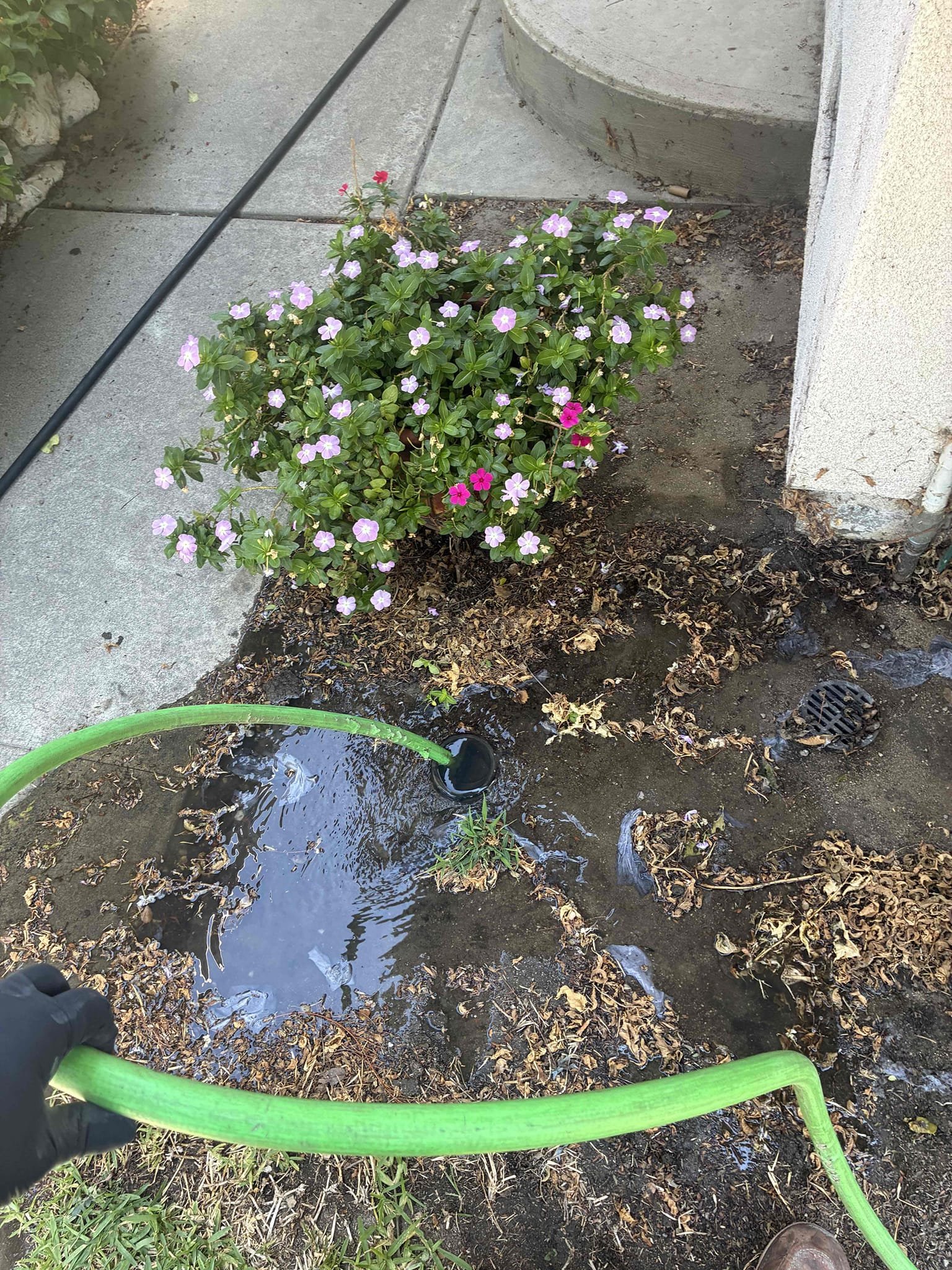 Team Rooter Plumbing of Ventura Image