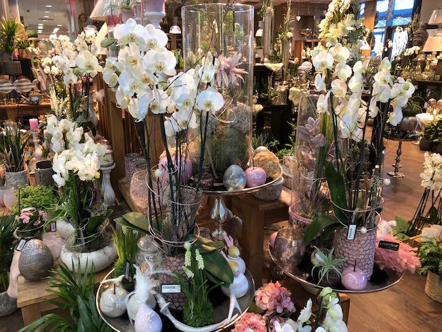 Kundenbild groß 18 Blumen Interfleur Floristik & Wohnaccessoires