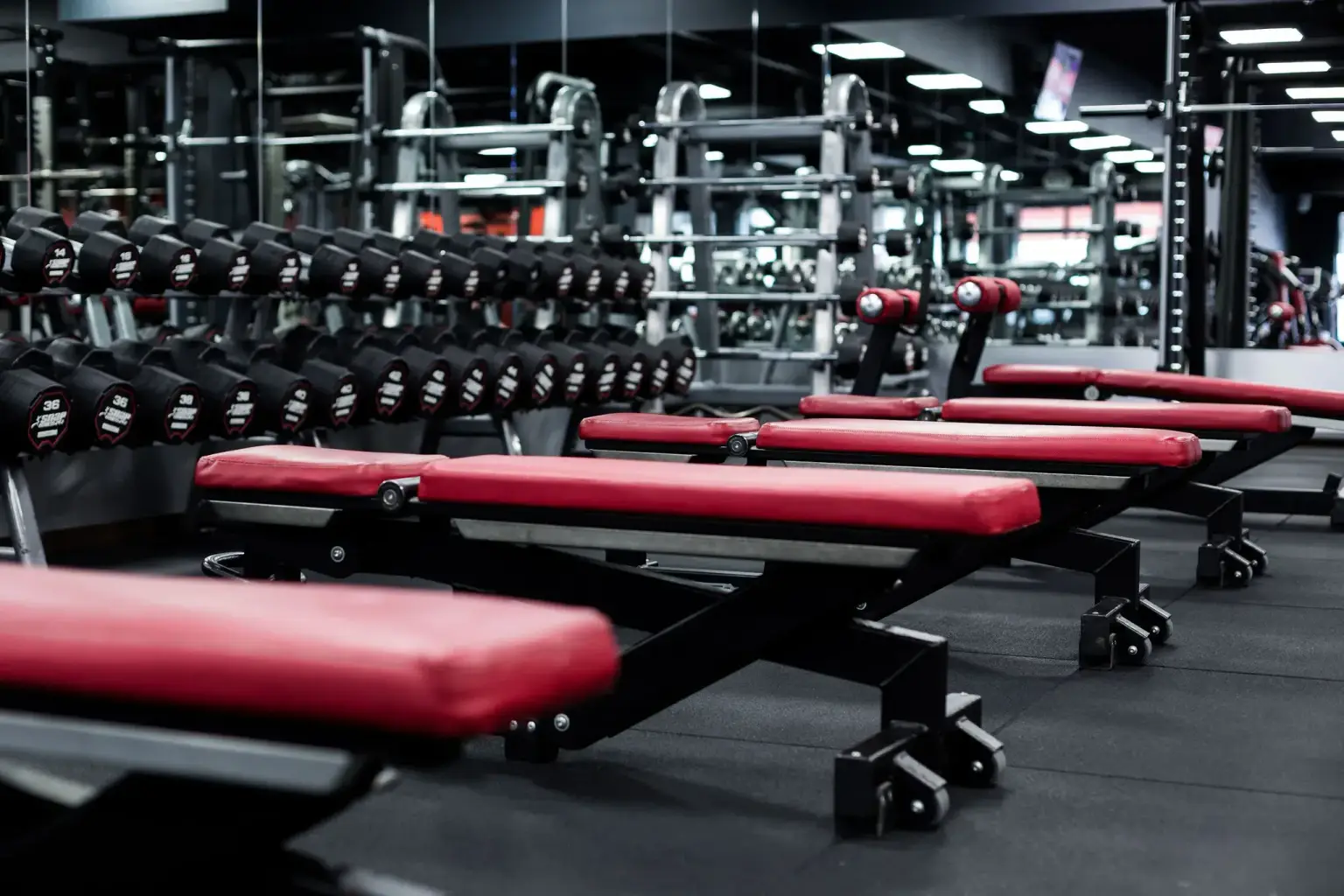 Free Weights Area