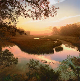 Images William Vasana - Keller Williams