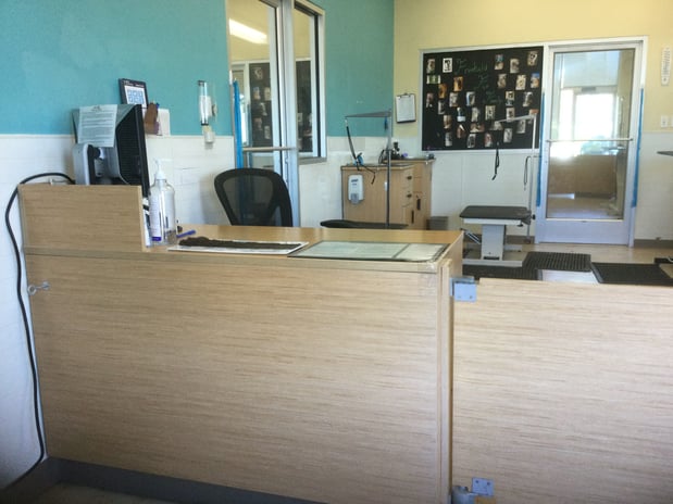 Images Petco Grooming