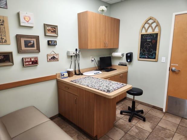 Images VCA Stirling Square Animal Hospital