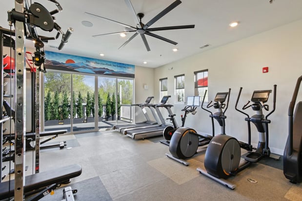 Images Arrive Longmont