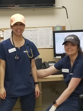 Images VCA Prestonwood Animal Hospital