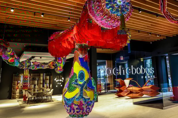 Images Roche Bobois