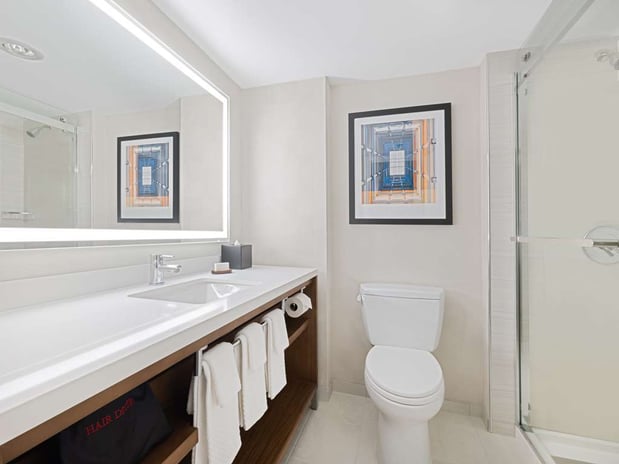Images Embassy Suites by Hilton Chicago Downtown River North