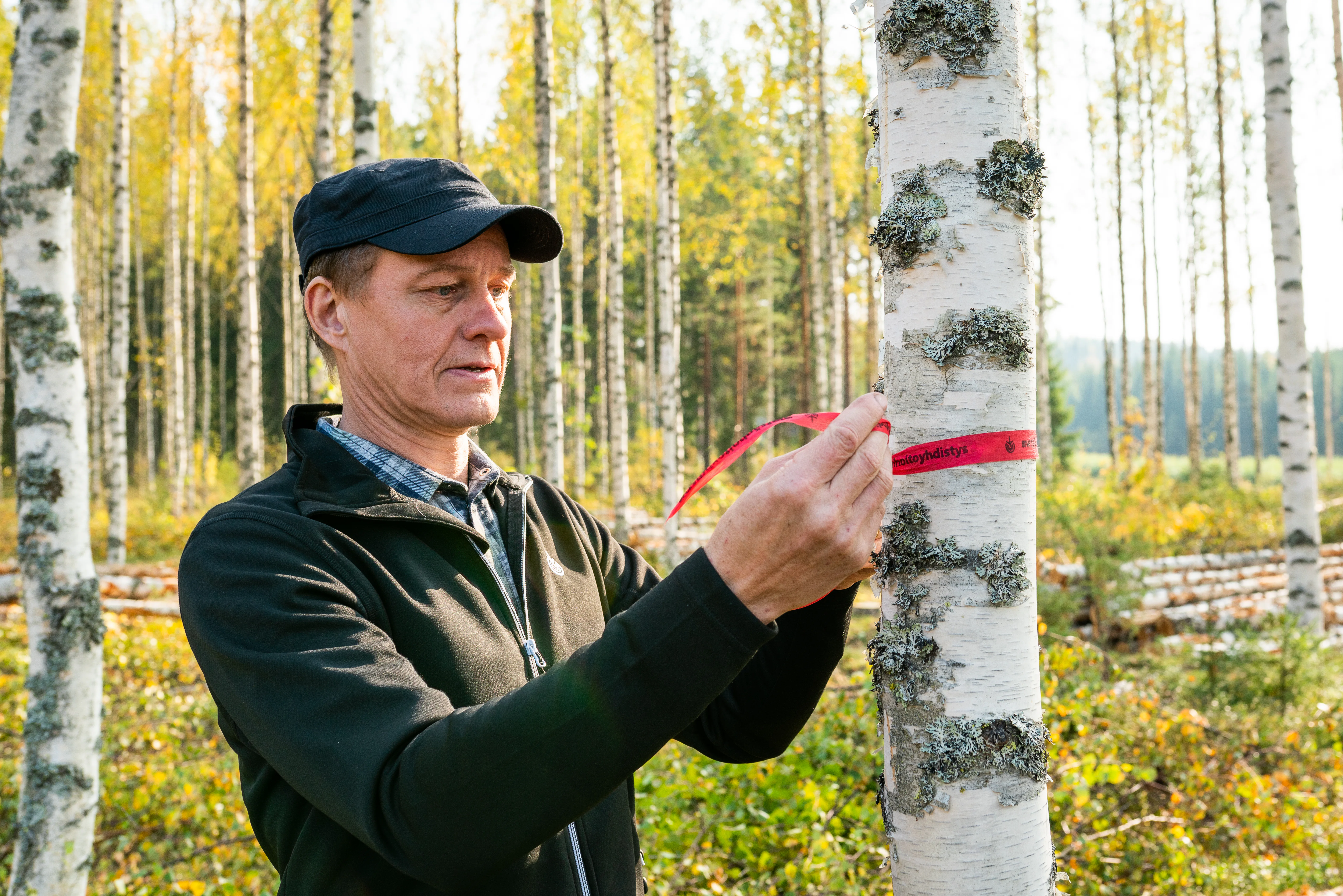 Images Metsänhoitoyhdistys Etelä-Savo