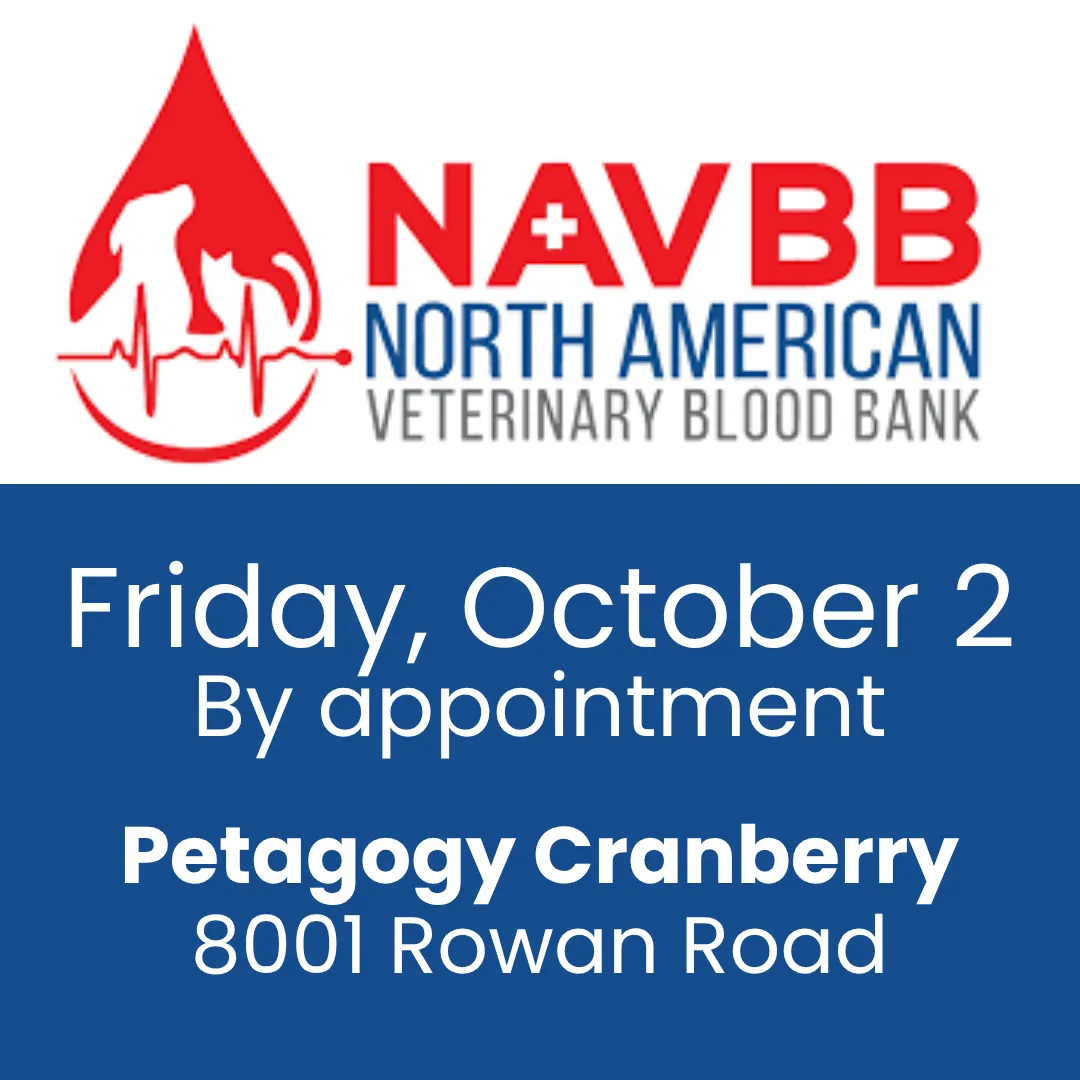 Image of Local Pet Event NAVBB Blood Drive Nearby