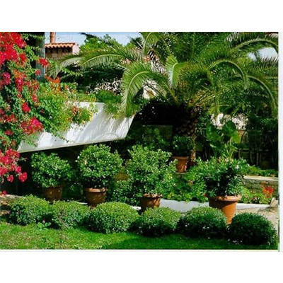Images Torlaschi G. - Giardinaggio - Vivai