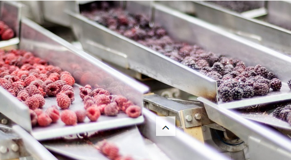 OPUS/G - Objektorientierte Programmierung und Systemtechnik GmbH, Höhen 19 in Jork