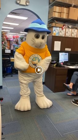 Images Watermelon Swim - Wesley Chapel