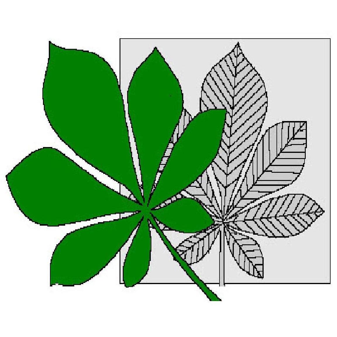 Diagnosezentrum Brigittenau Logo
