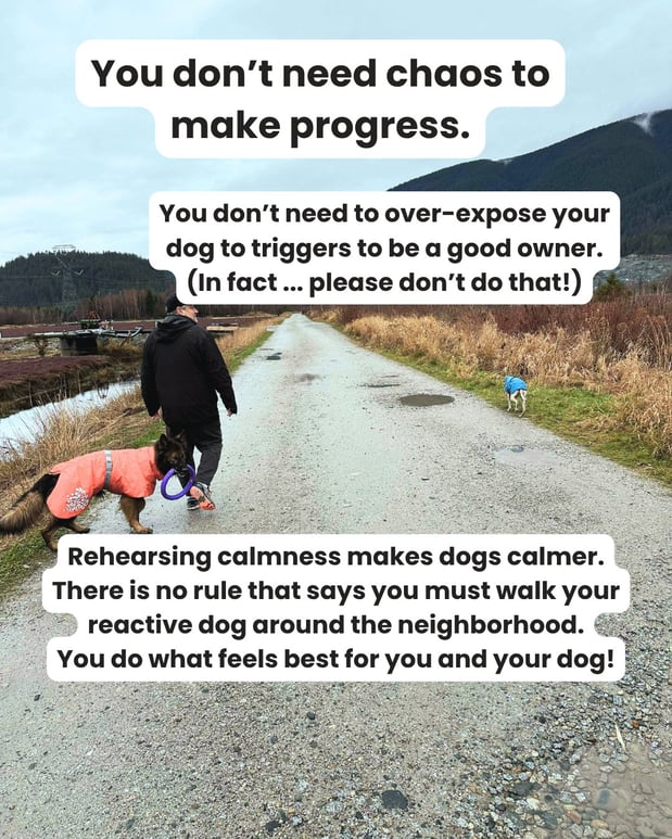 Images South Paw Doggie Daycare & Training Center