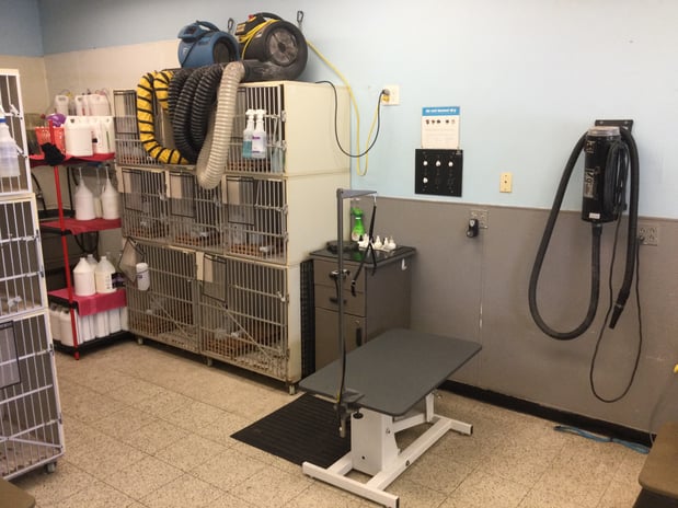 Images Petco