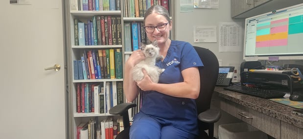 Images VCA Peone Pines Animal Hospital
