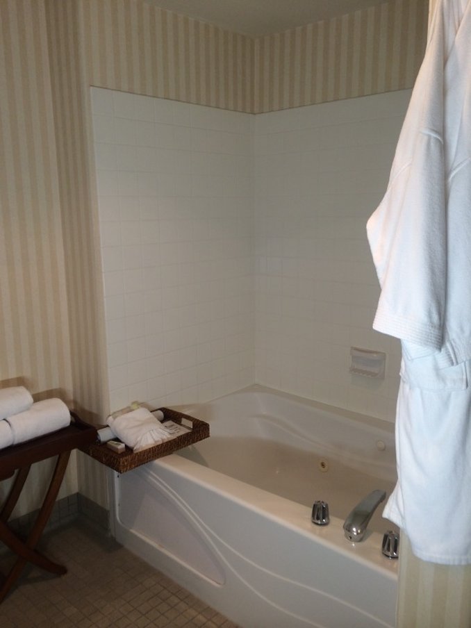 Holiday Inn Selma-Swancourt by IHG Image