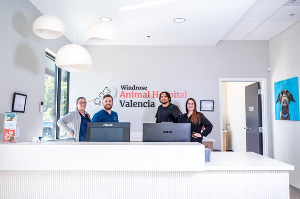 Images Windrose Animal Hospital Valencia