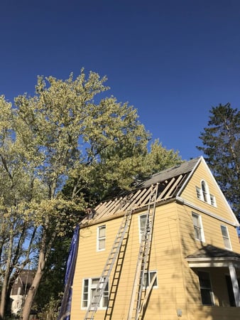 Images New Harvest Construction