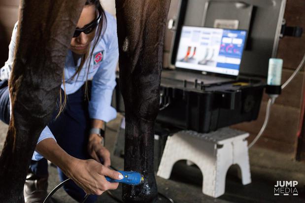 Images Palm Beach Equine Clinic