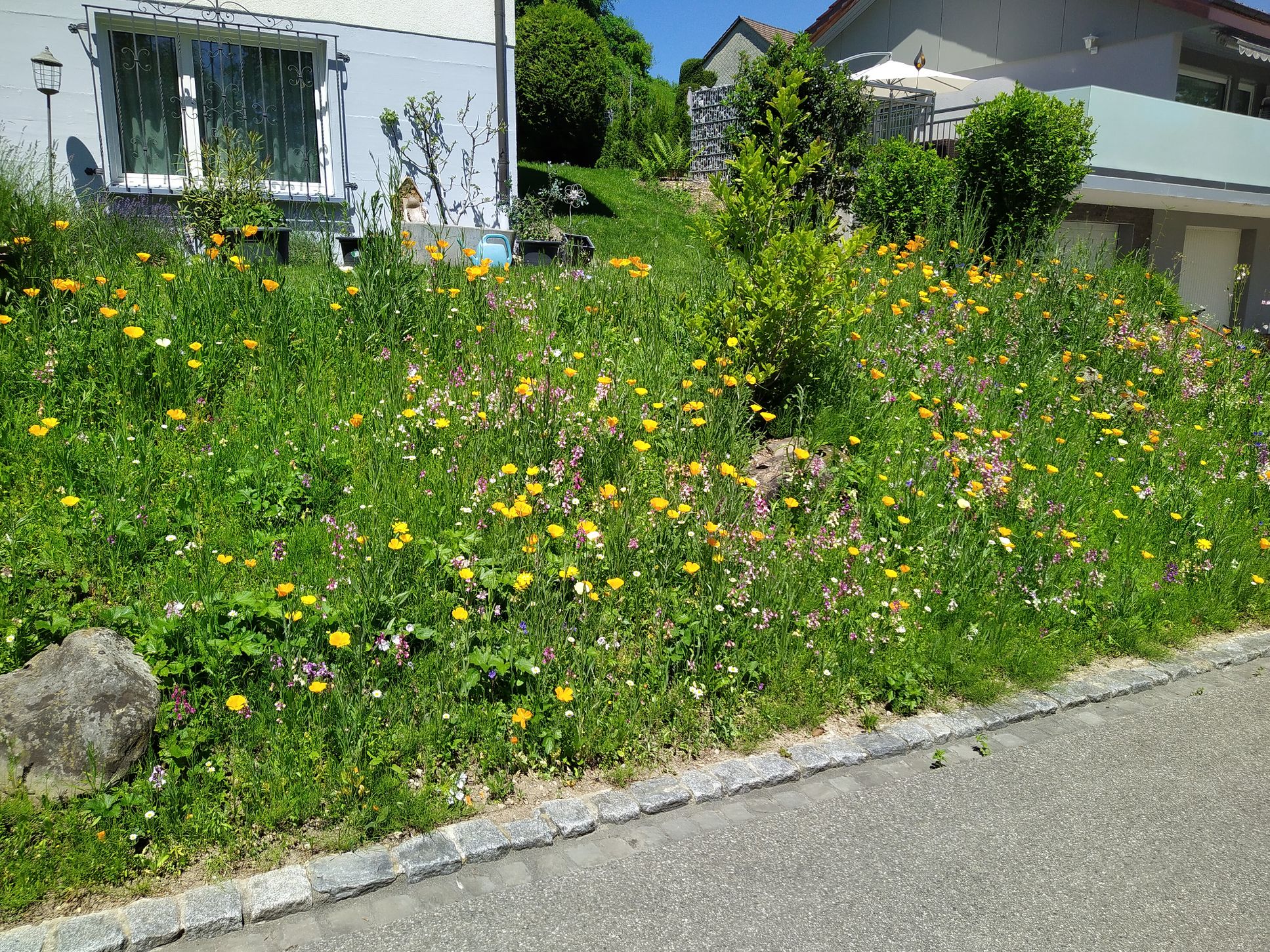 Bilder Chraftgrüen GmbH