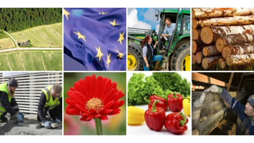 Images Maaseudun Työnantajaliitto MTA