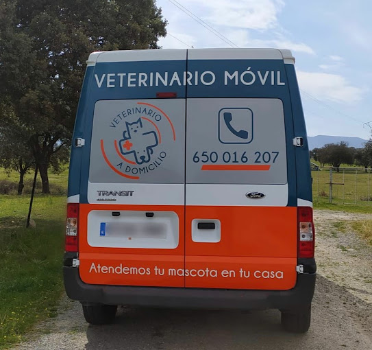 Images Veterinario A Domicilio