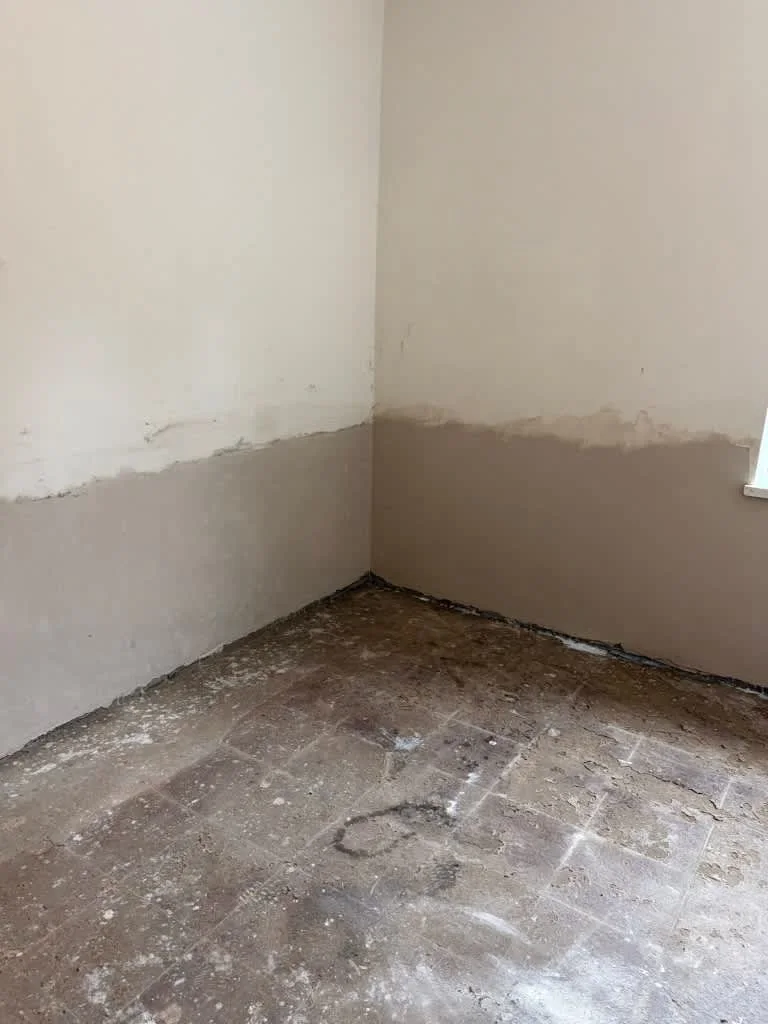 Images Verisure Damp Proofing & Plastering