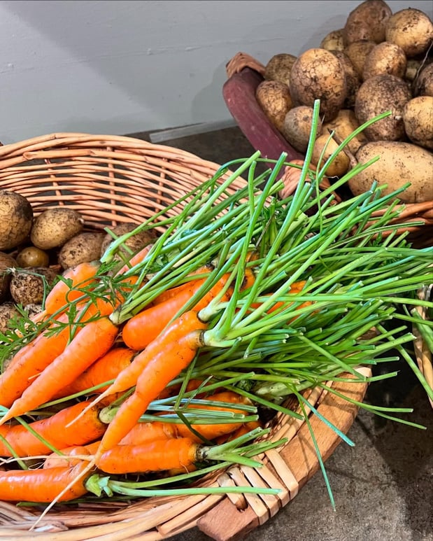 Images Edible Gardens Inc