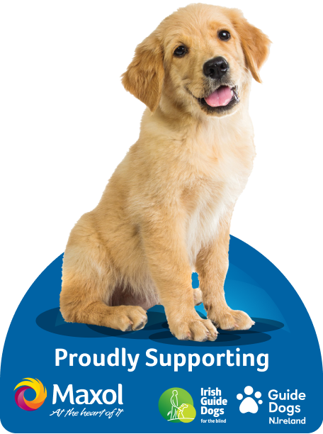 charity-dog