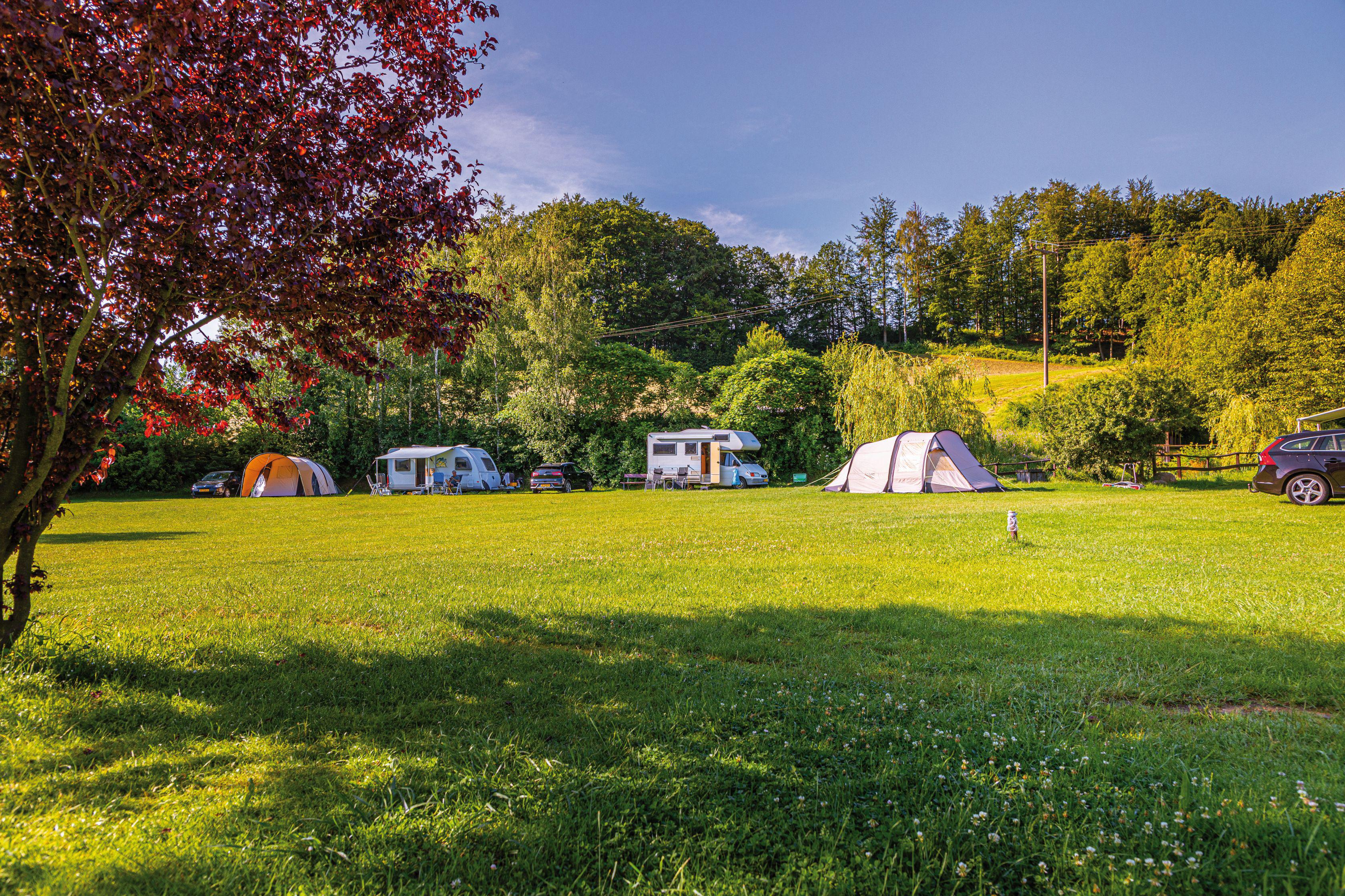 Bild 7 Camping Endler in Sebnitz