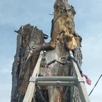 C&J Projects & Services Image