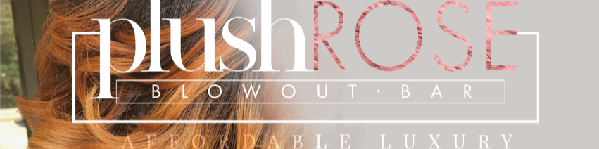 Plush Rose a Blowout Bar Salon Photo