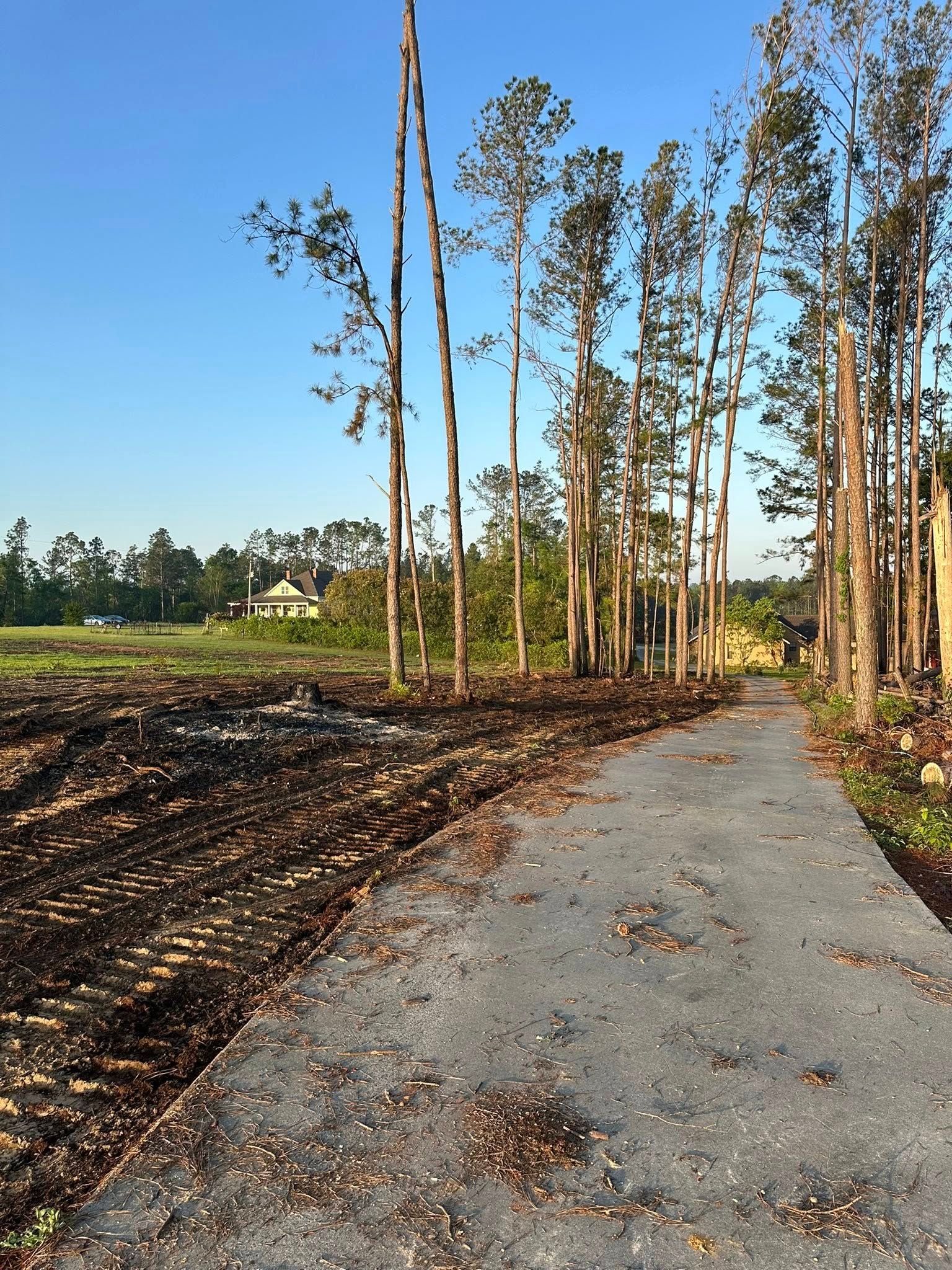 Timber & Teal Land Management Image