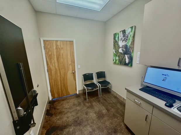 Images VCA Lecanto Animal Hospital