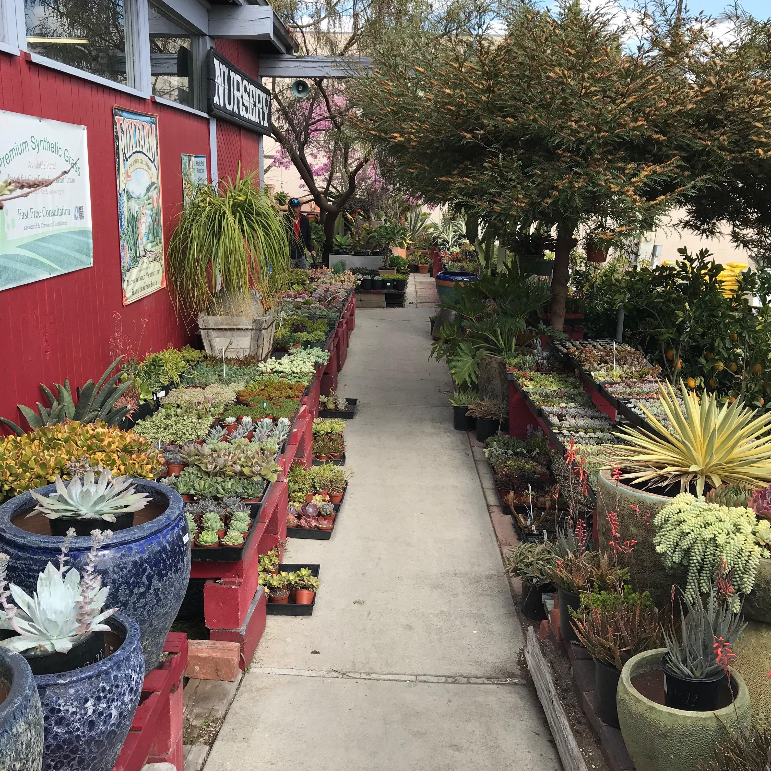 Stop in and browse our nursery.