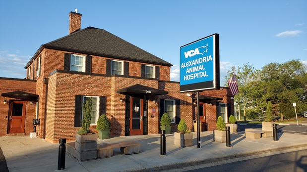 Images VCA Alexandria Animal Hospital