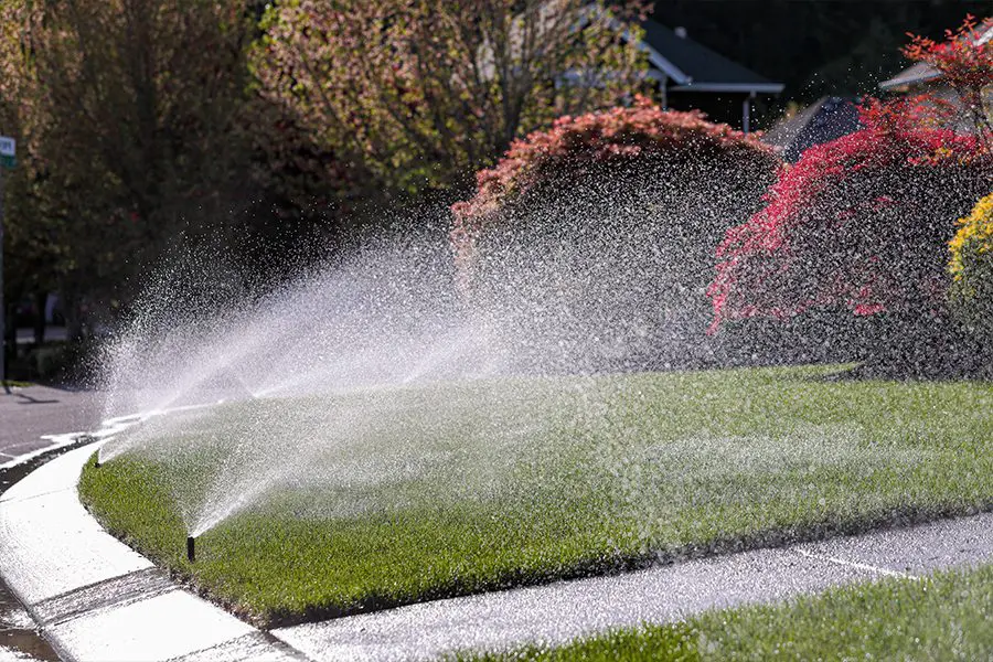 Making Solid Ground Lawn Care Inc