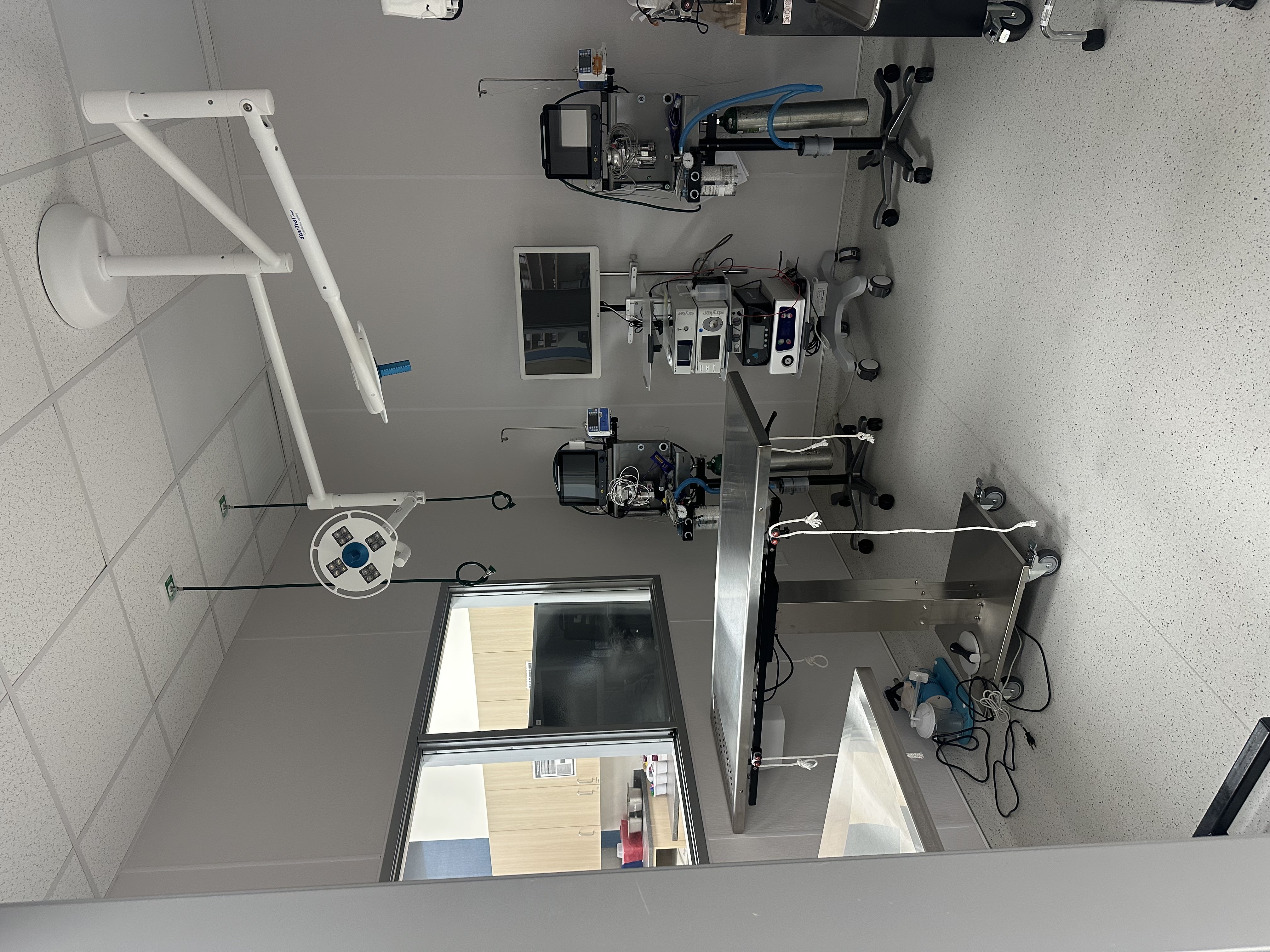 CityVet | Northlake x-ray area