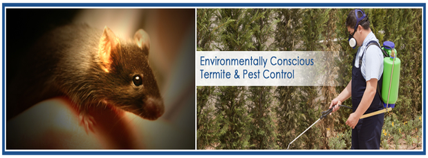 Images Pest Brothers, Inc.