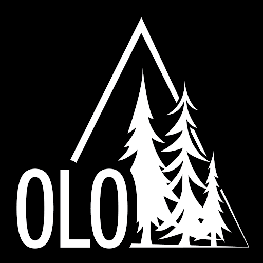 OLO Physical Therapy and Wellness - Ann Arbor Logo