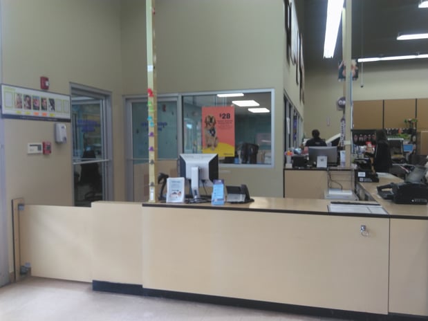Images Petco Grooming
