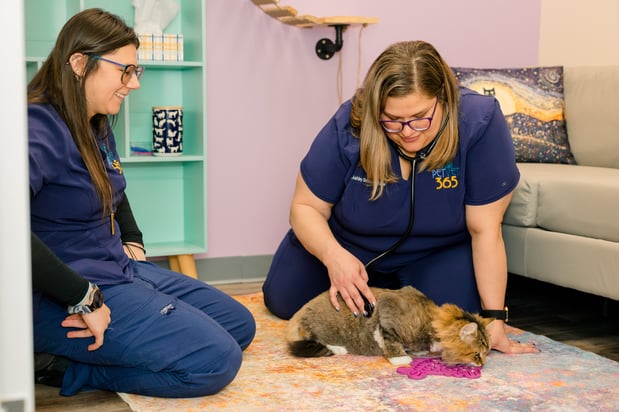 Images PetVet365 Pet Hospital Pittsburgh / South Hills