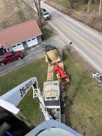 Images J & J Tree Services